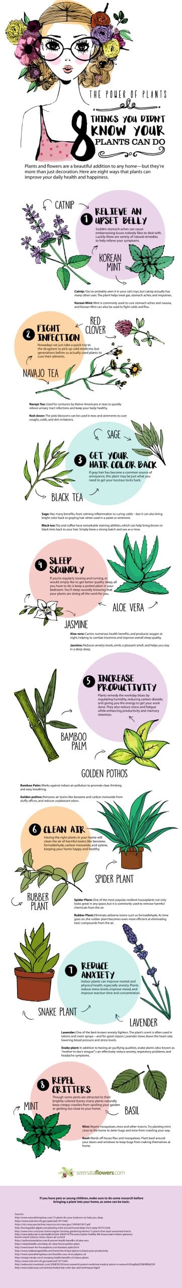 best infographic examples - The Power of Plants