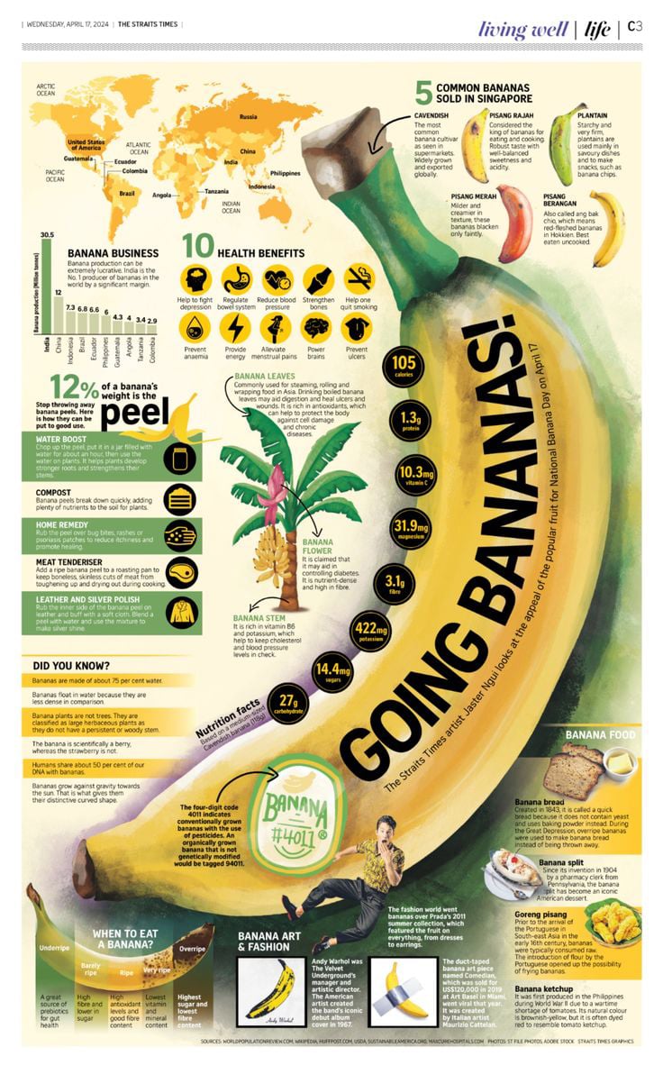 best infographic examples - Print Infographic About Bananas