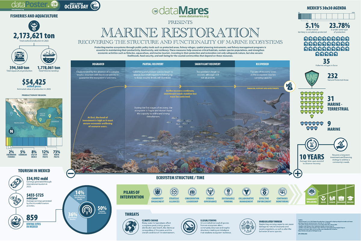 best infographic examples - Marine Restoration