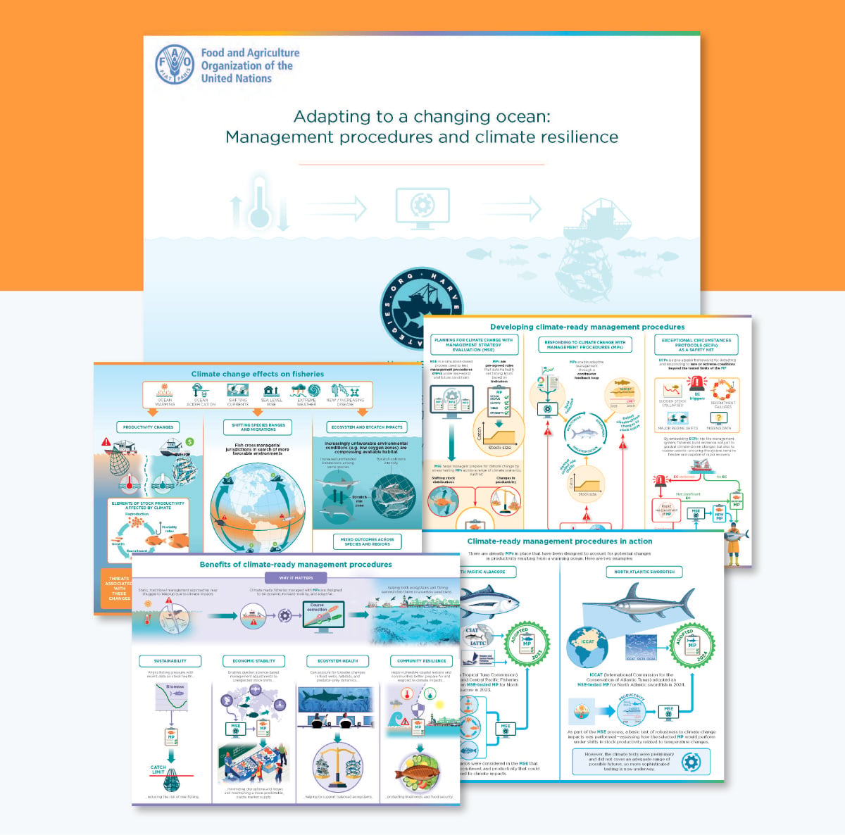 best infographic examples - Adapting to a Changing Ocean