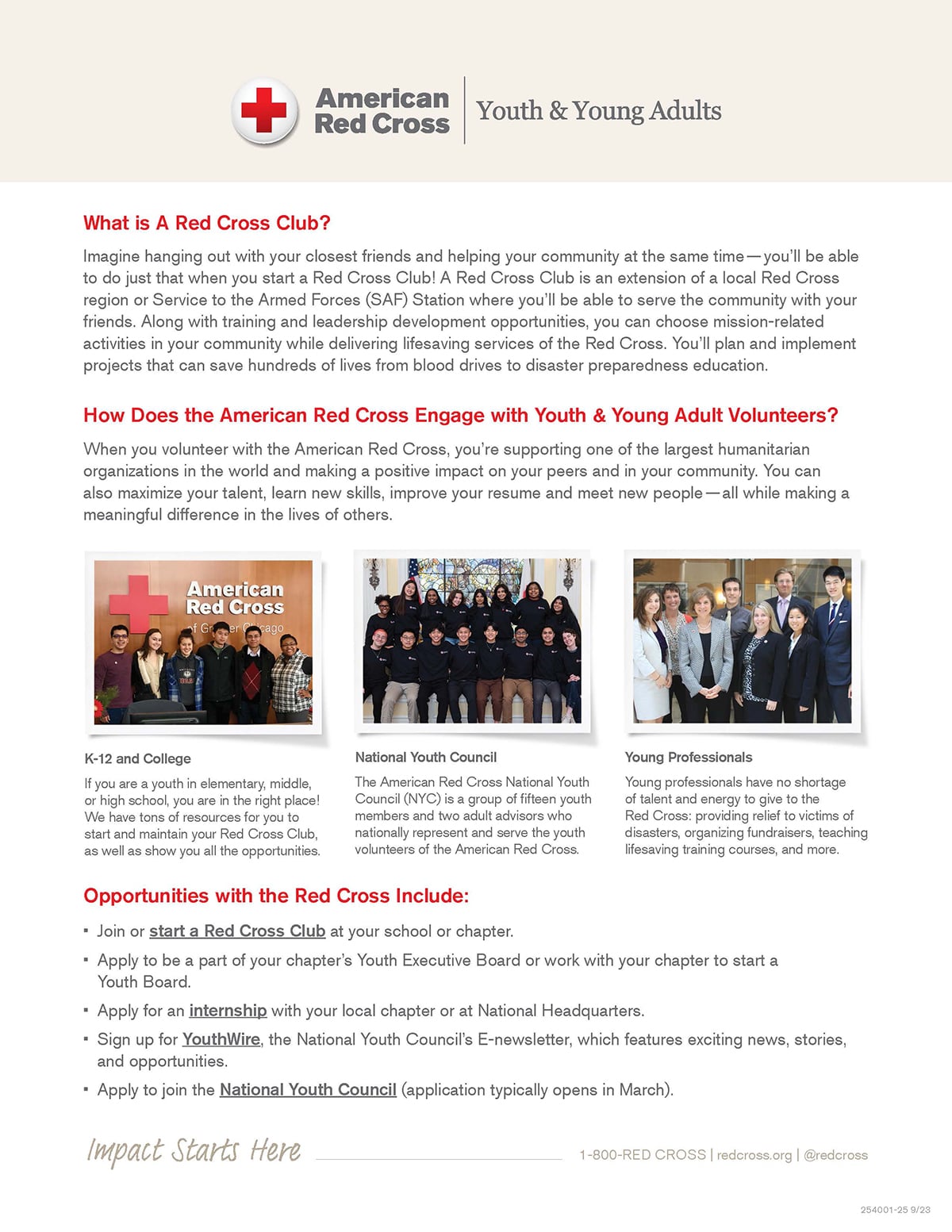 nonprofit one pager - American Red Cross
