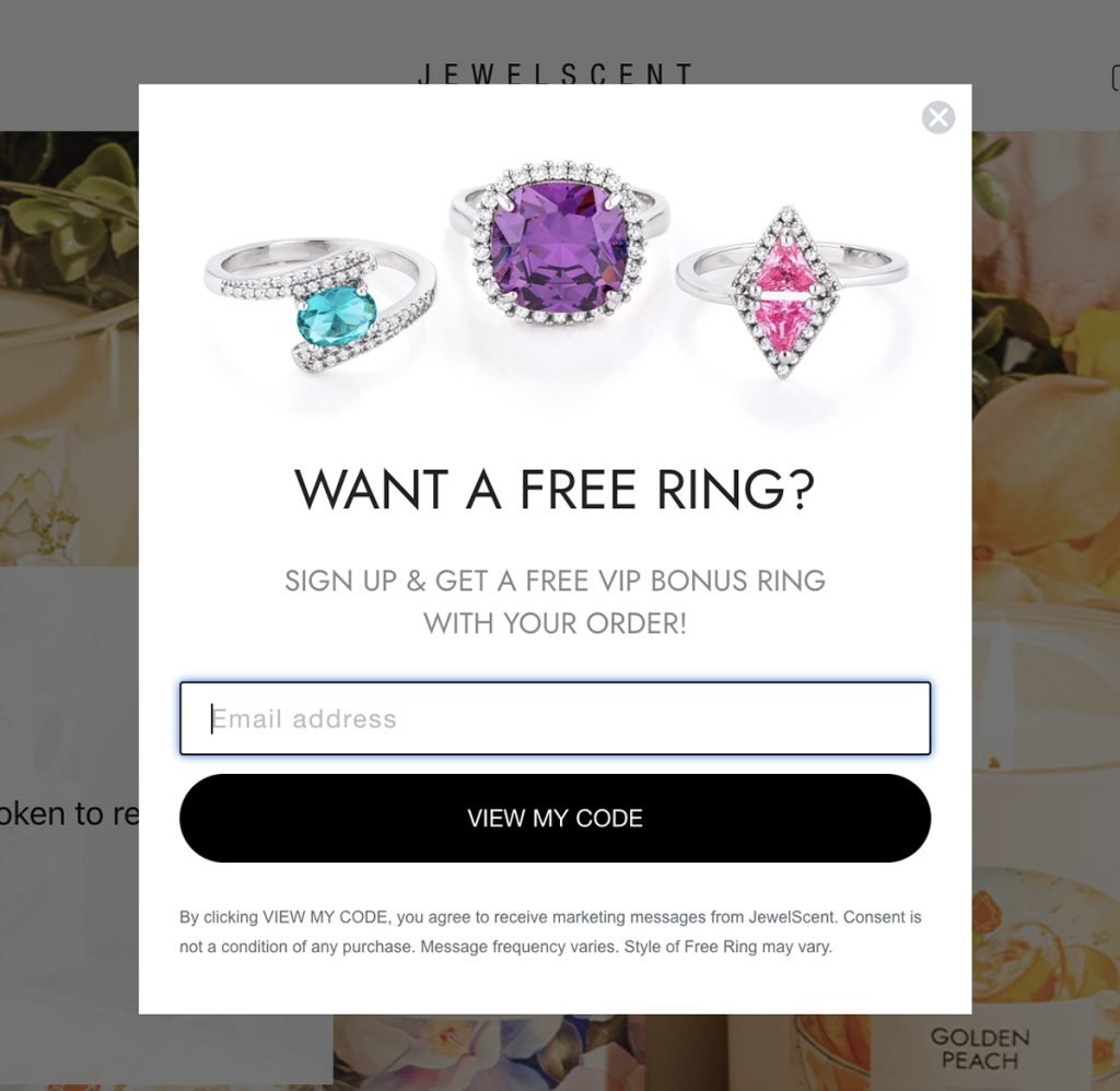 16 Best Exit Intent Popup Examples to Learn From