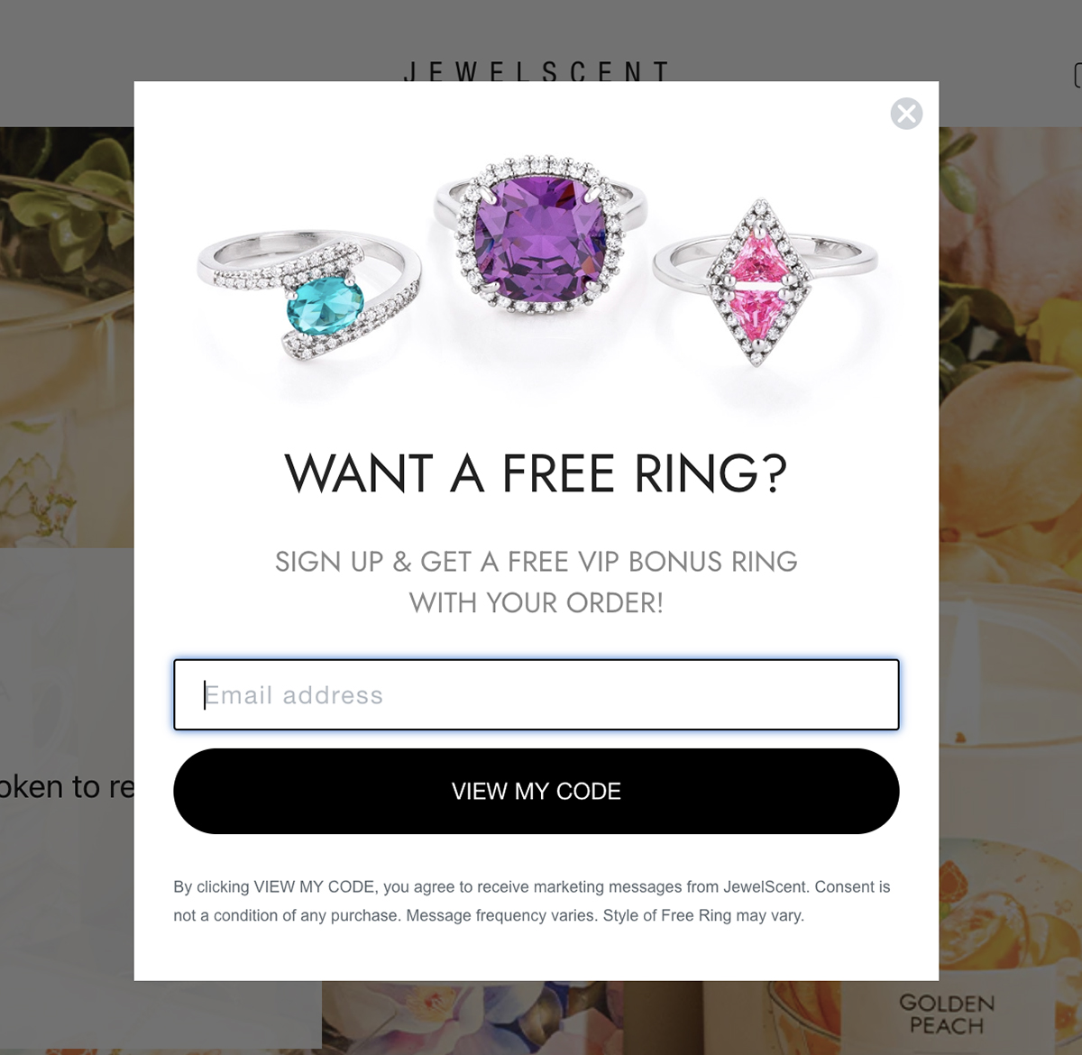 exit intent popup examples - JewelScent