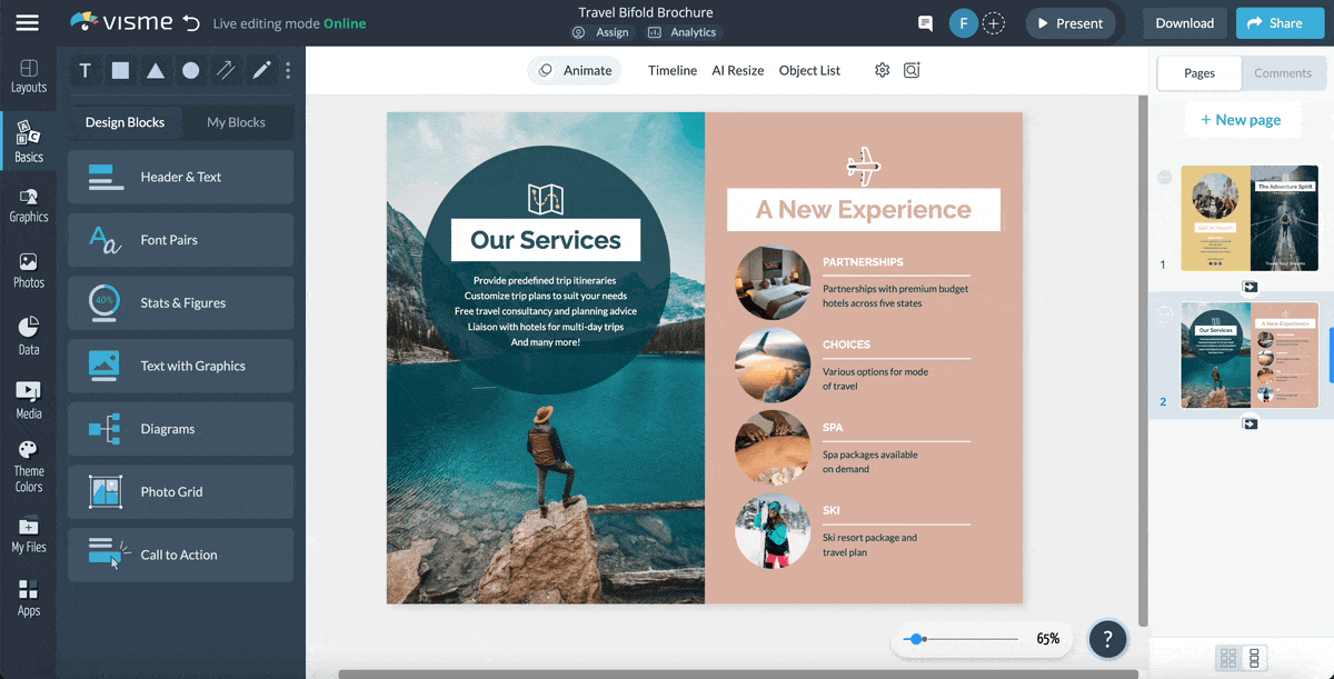 Travel Brochure Examples Templates 