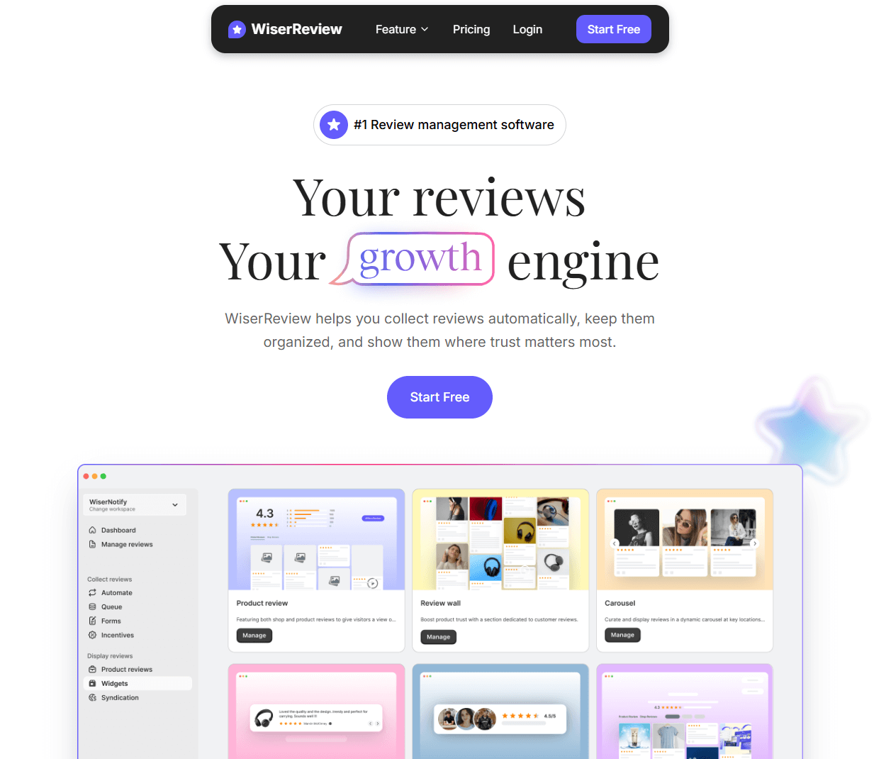 WiserReview interface and homepage