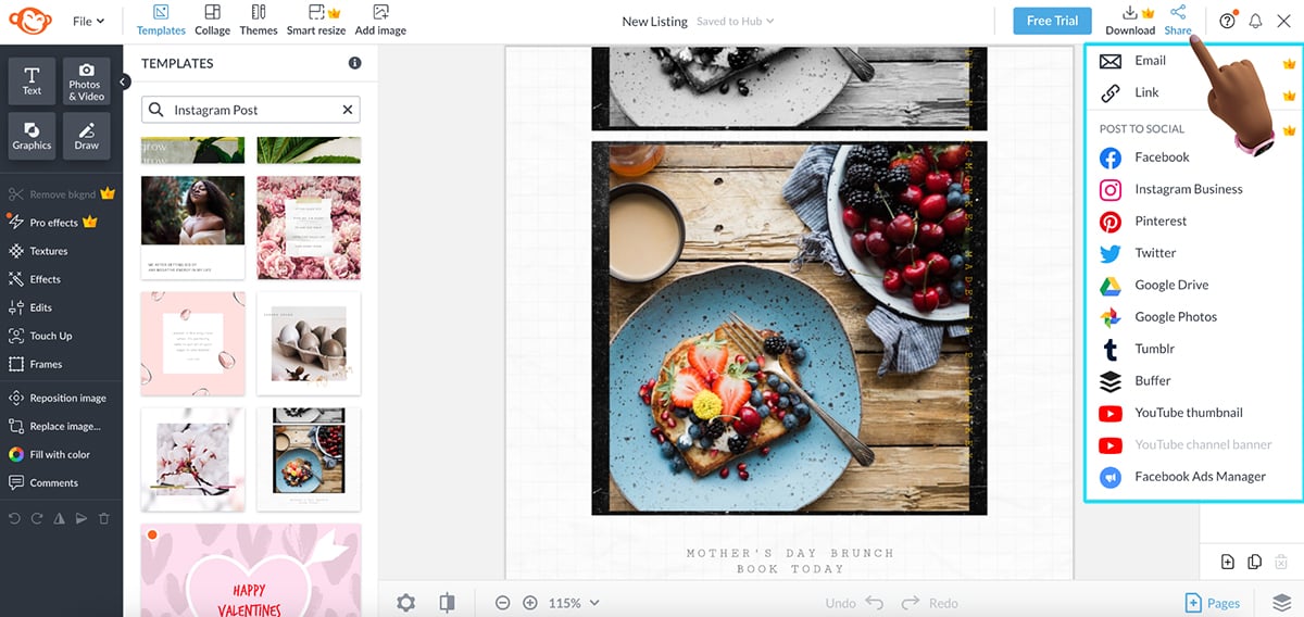 Canva alternatives - Picmonkey sharing options
