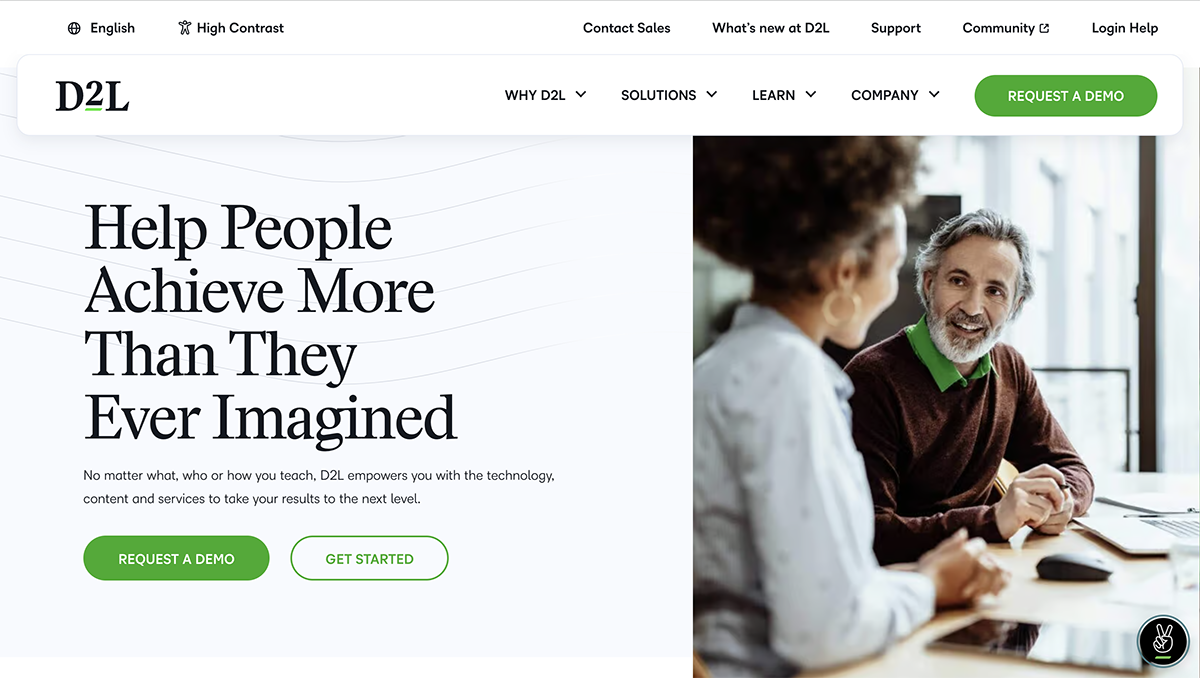 articulate alternatives - a screenshot of D2L Brightspace home page