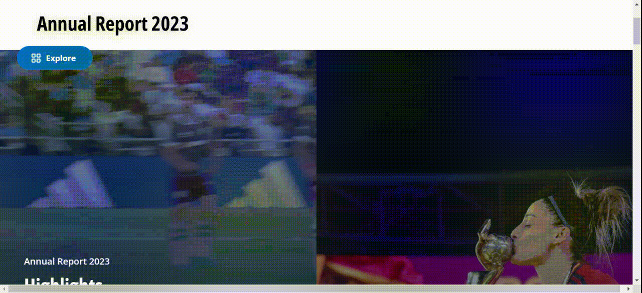 Annual Report Design Example FIFA