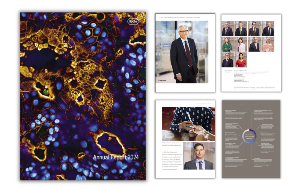 Annual Report Design Example Roche