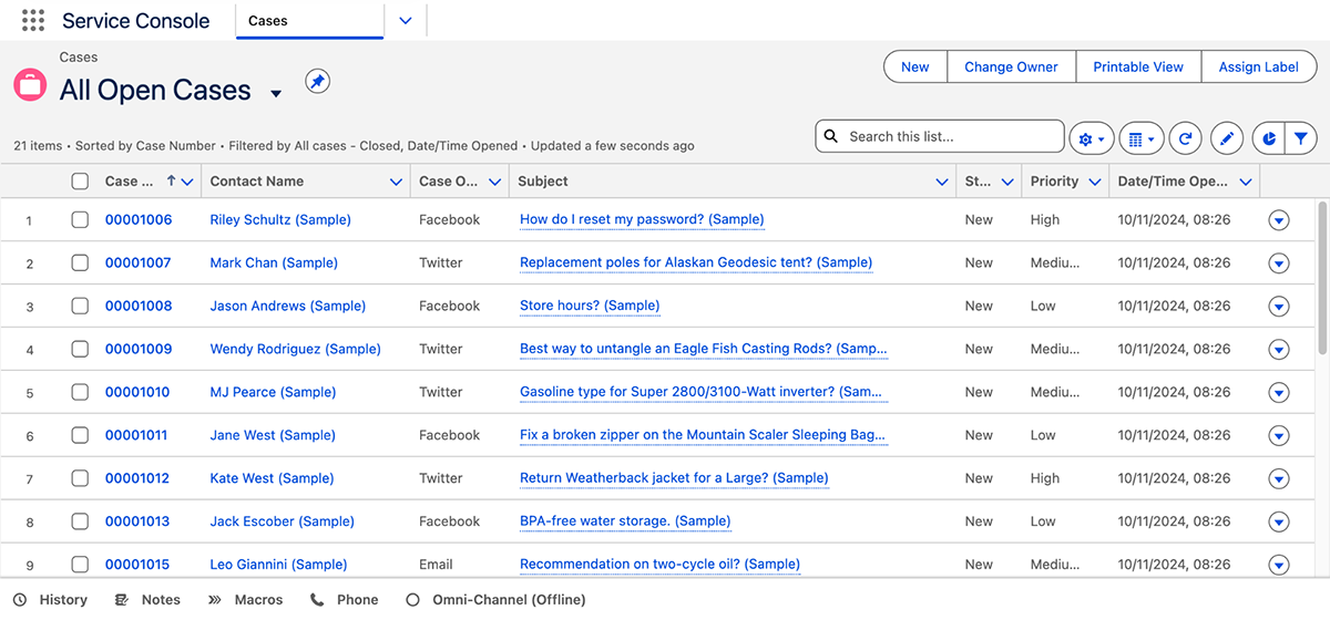 customer success tools - Salesforce interface