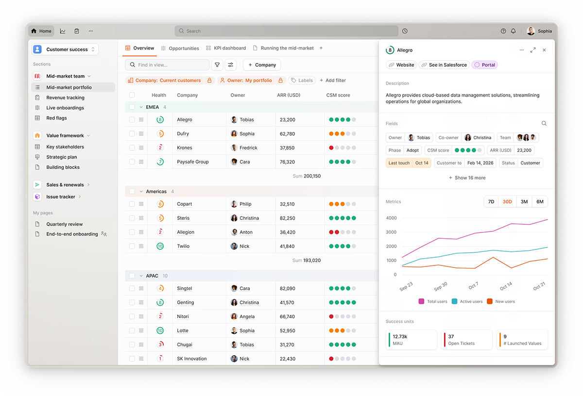 customer success tools - Planhat interface