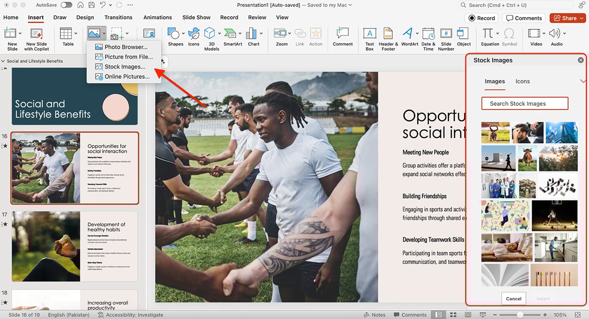 best presentation software - Microsoft Powerpoint asset library 