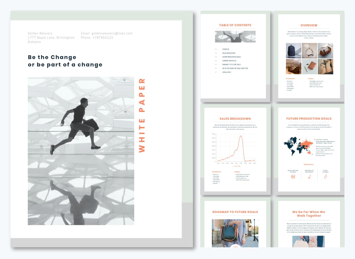 Call for Investors White Paper Template