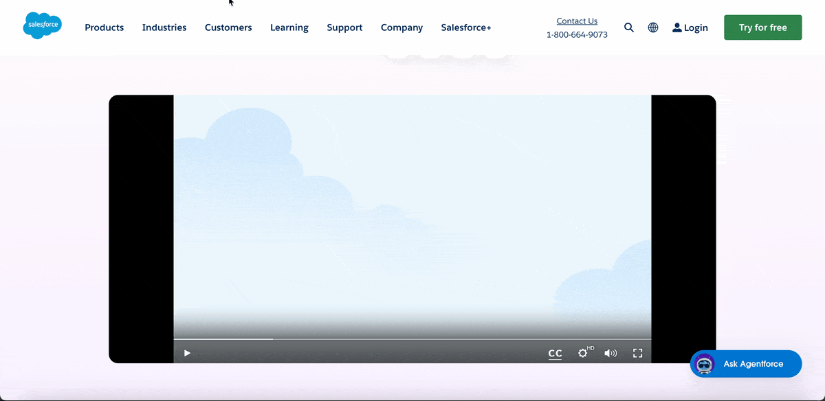Split Testing Targeted Landing Pages - Salesforce