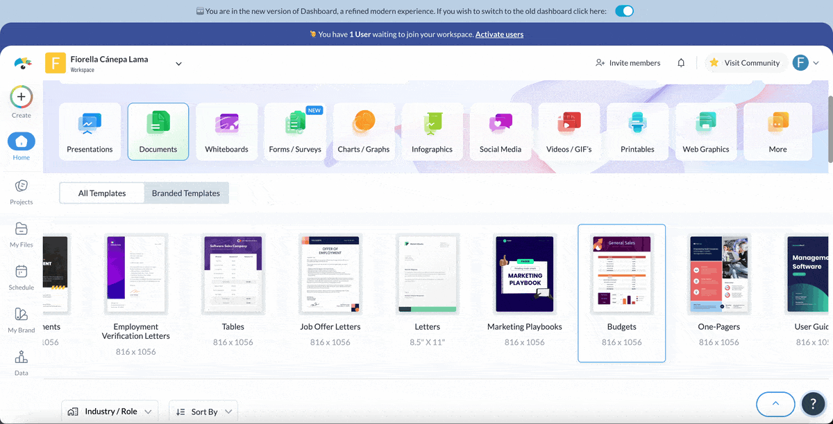 edit the budget template
