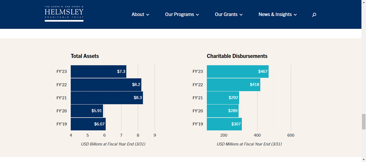 company profile template - Hemsley Charitable Trust