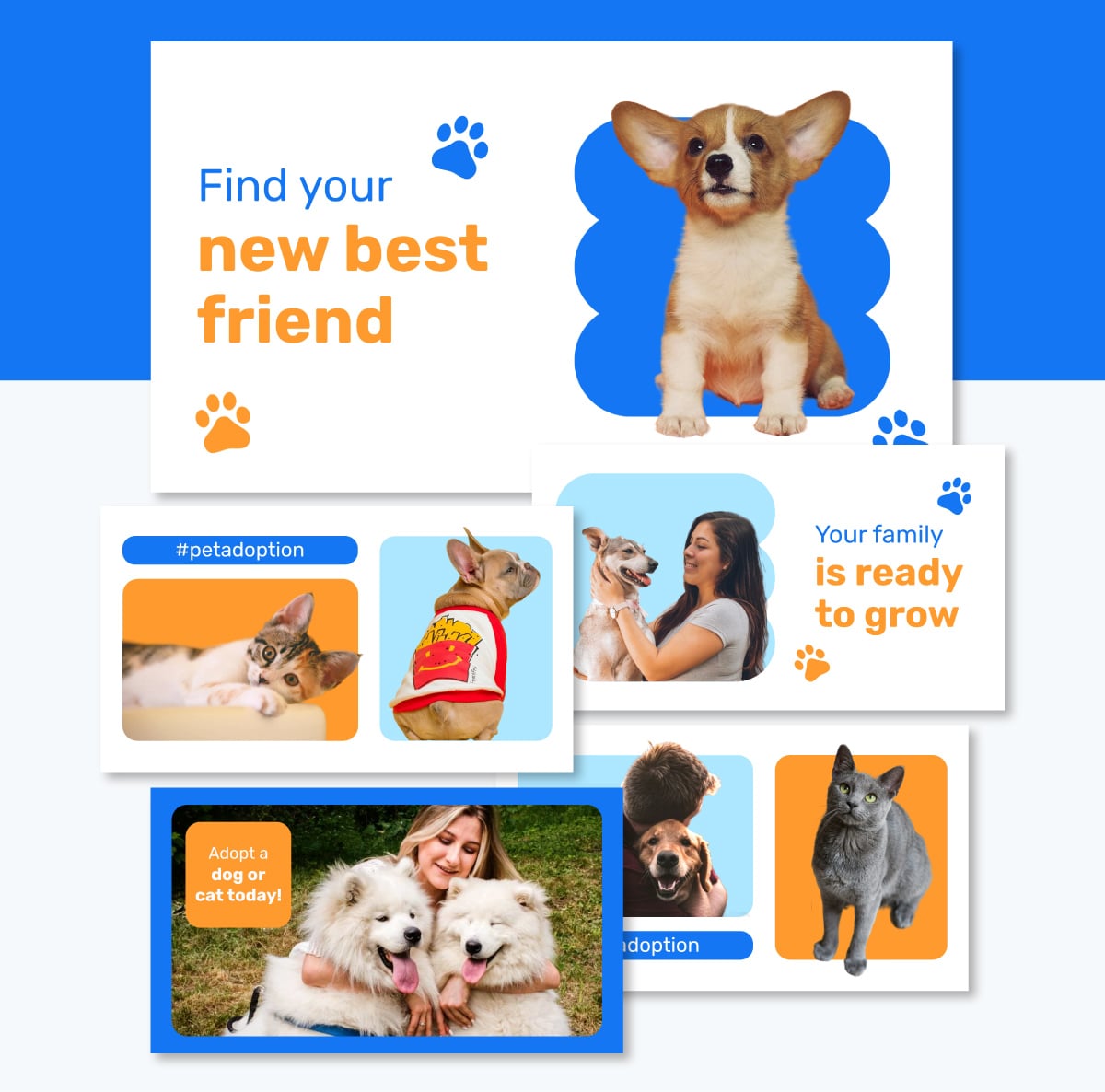 presentation slides - pet adoption slideshow template visme