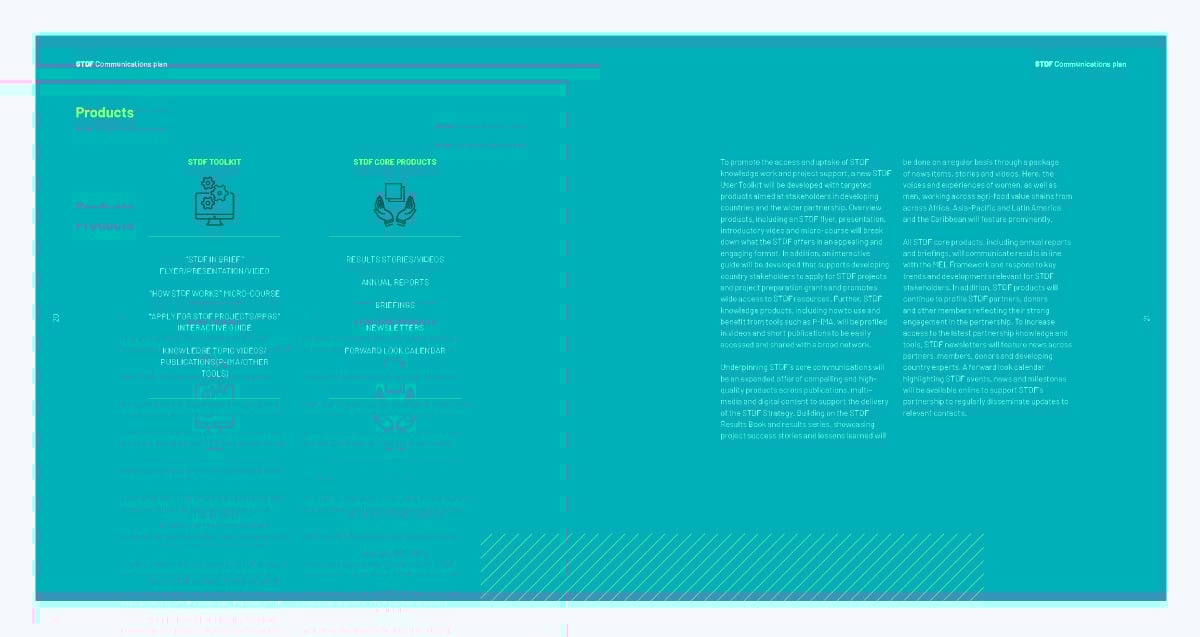 real life oommunication plan example