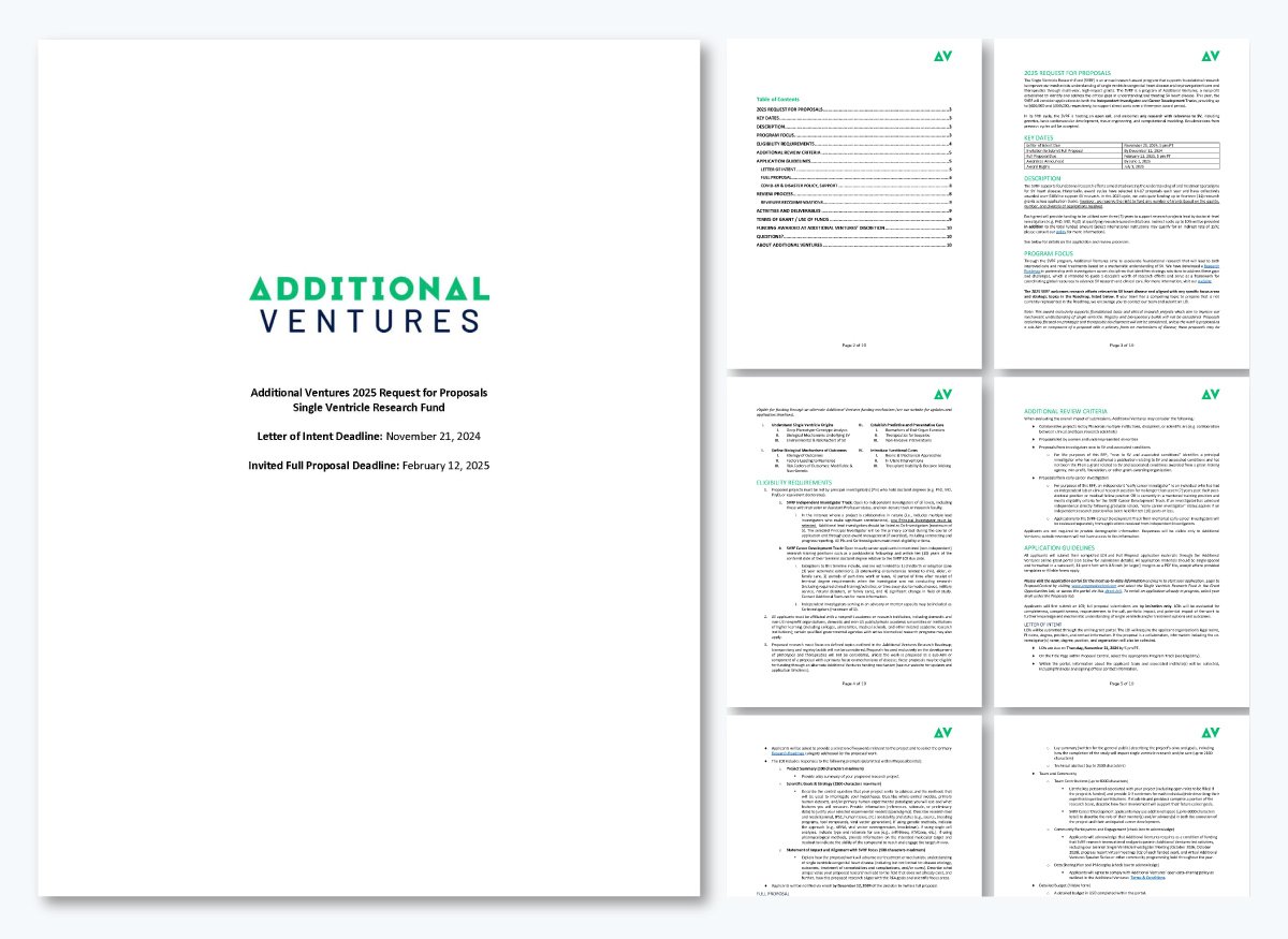 Research grant RFP - Additional Ventures 