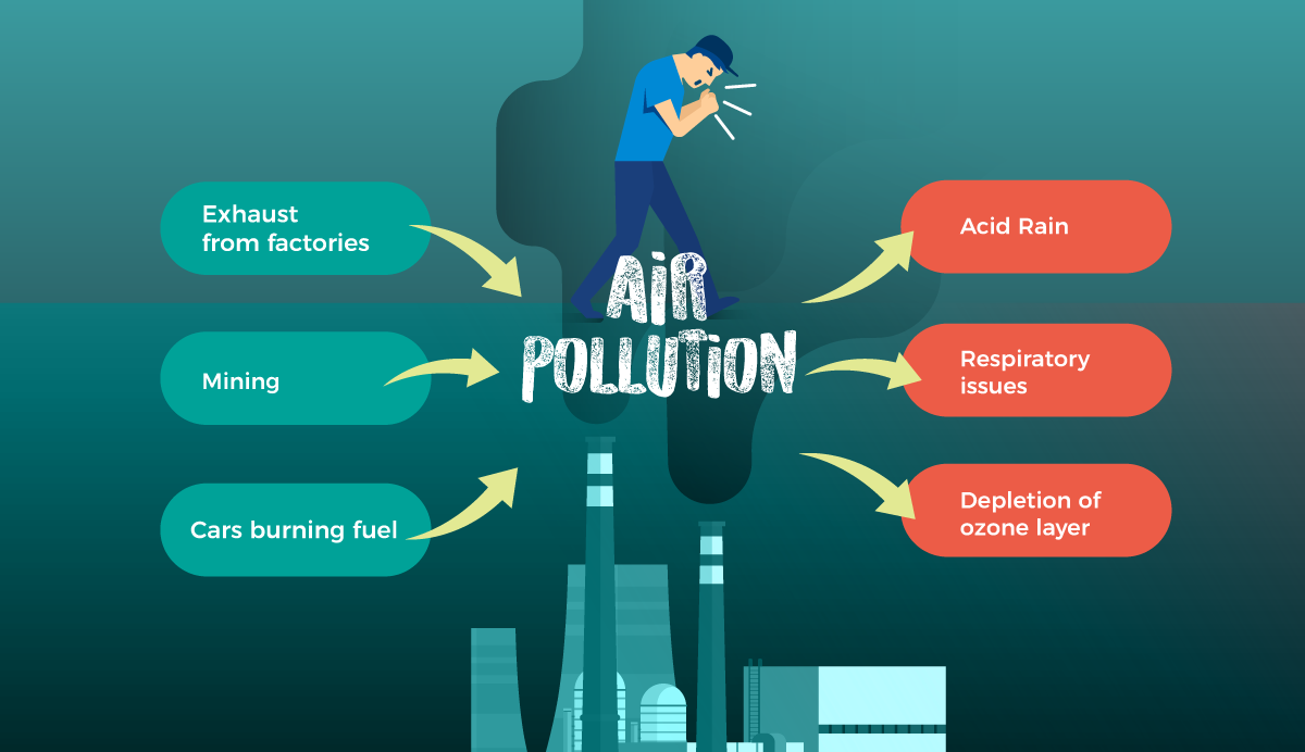 A cause and effect graphic organizer about air pollution.