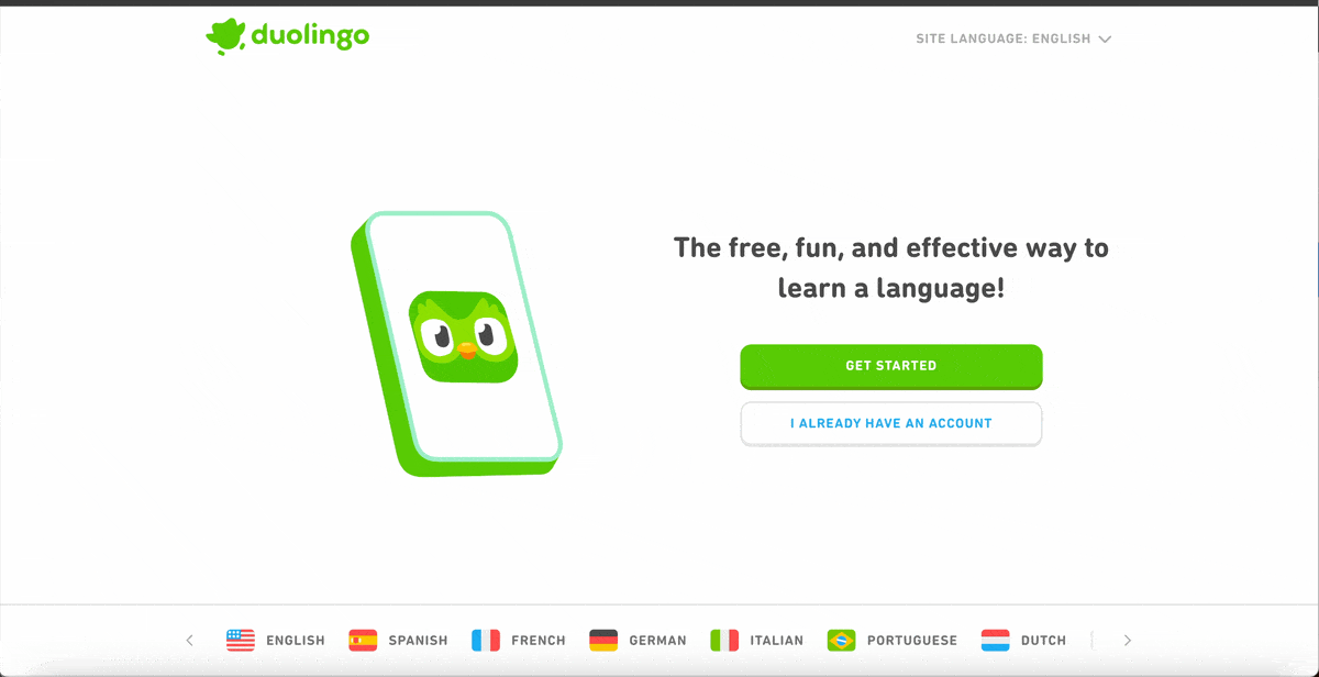 Interactive Form Examples - Duolingo