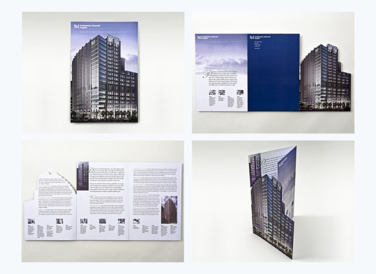 Types of Brochures: The Ultimate Guide with Examples & Templates