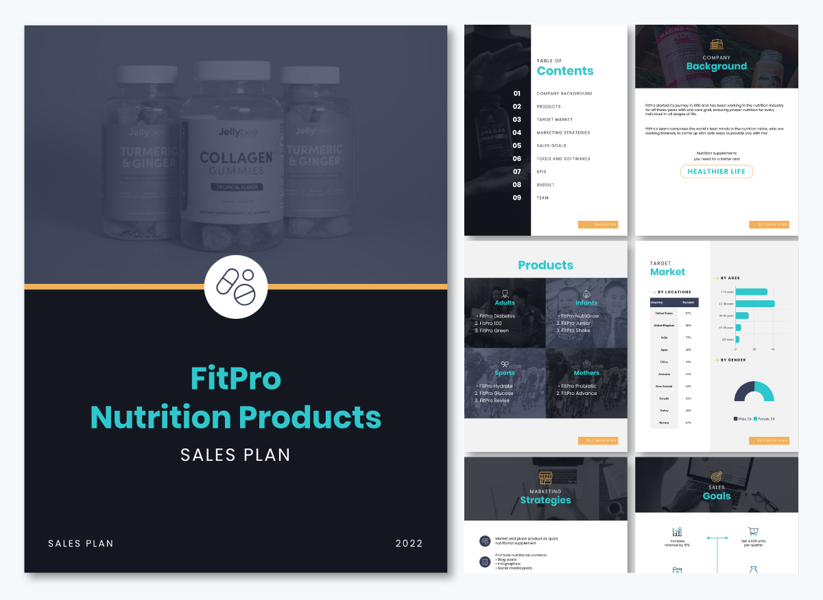 sales plan template - Customer Product Sales Plan