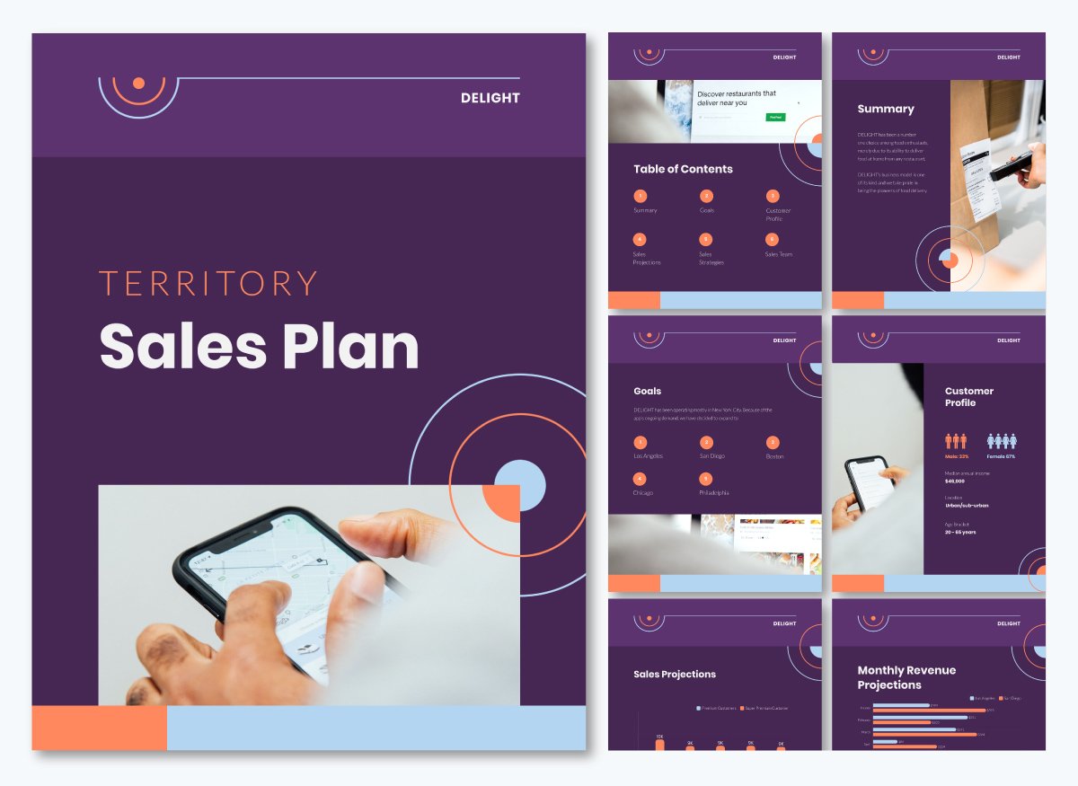 sales plan template - Company Territory Sales Plan