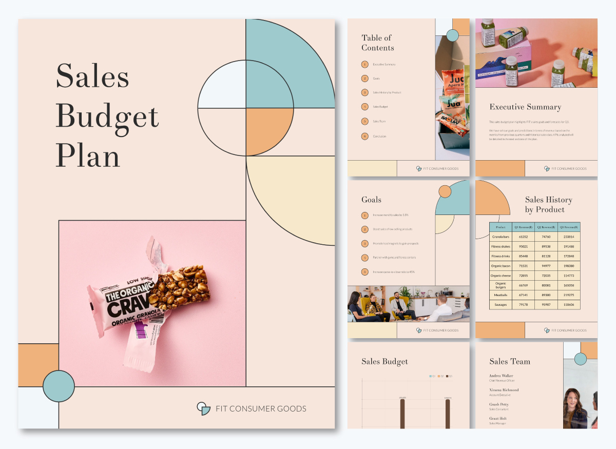 sales plan template - Budget Sales Plan
