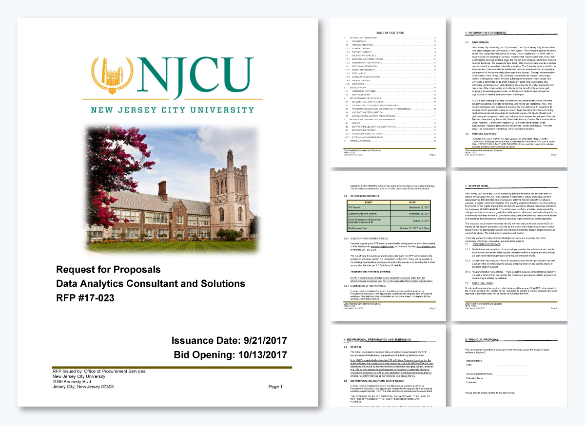 rfp vs rfq - Real-Life Example of an RFP