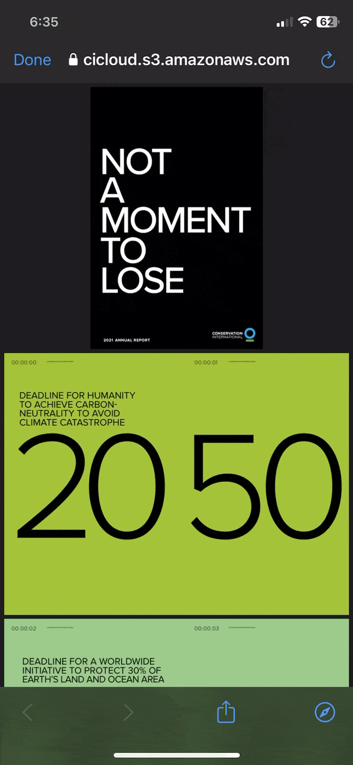 interactive annual report examples 