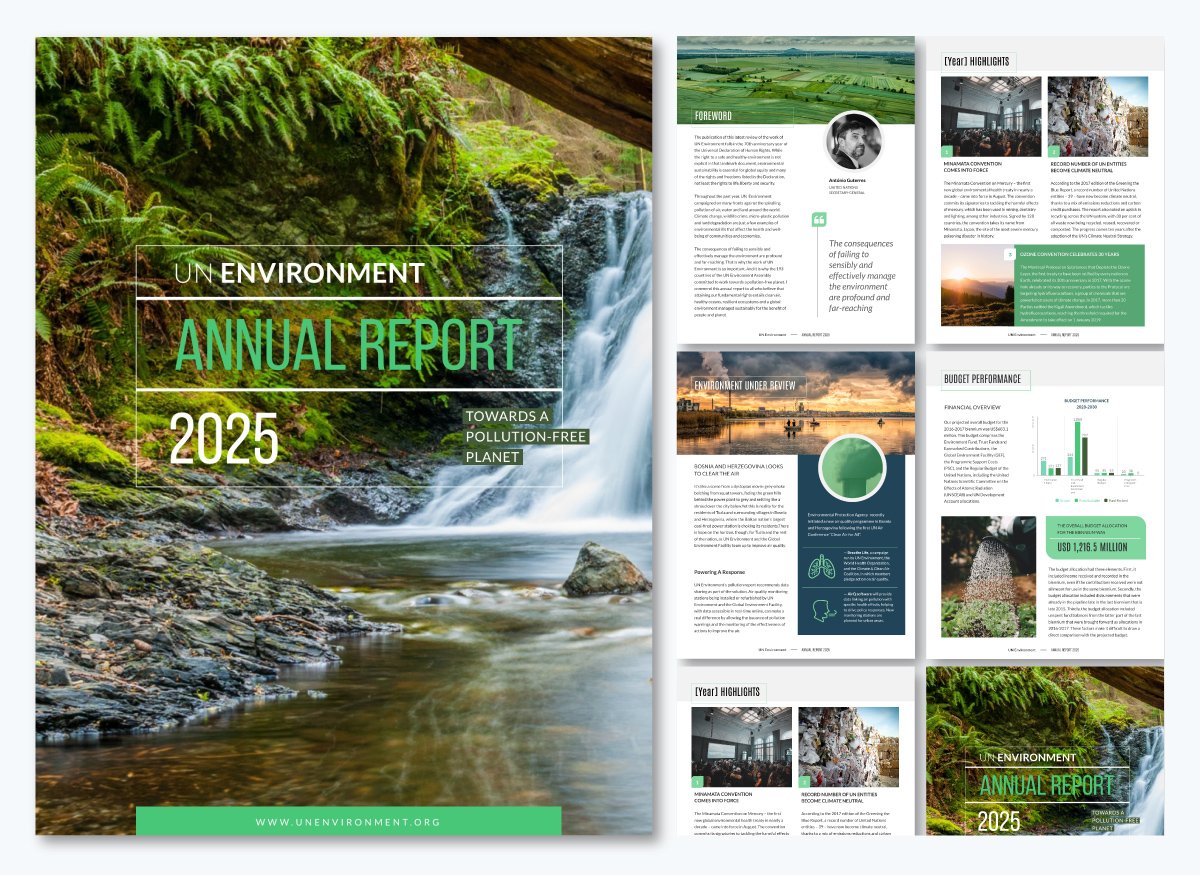 un environment annual report template