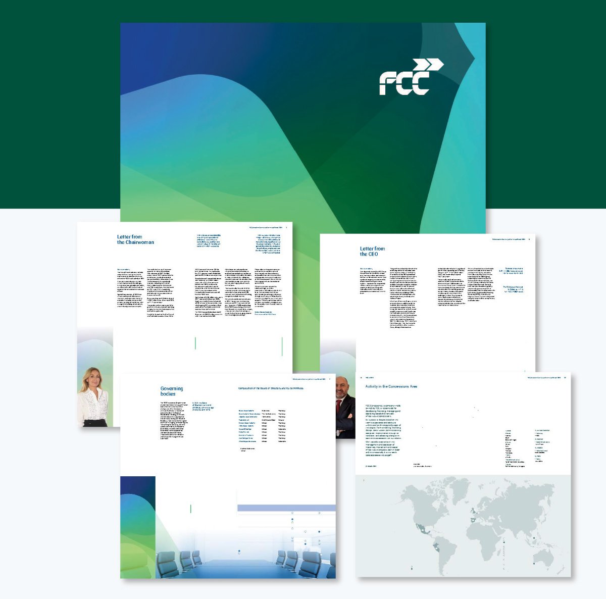 executive summary example - FCC Annual Report 2024