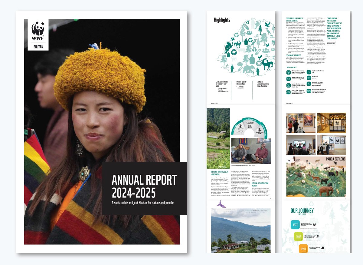 examples of nonprofit annual report - World Wildlife Fund (WWF)’s 2024 annual report