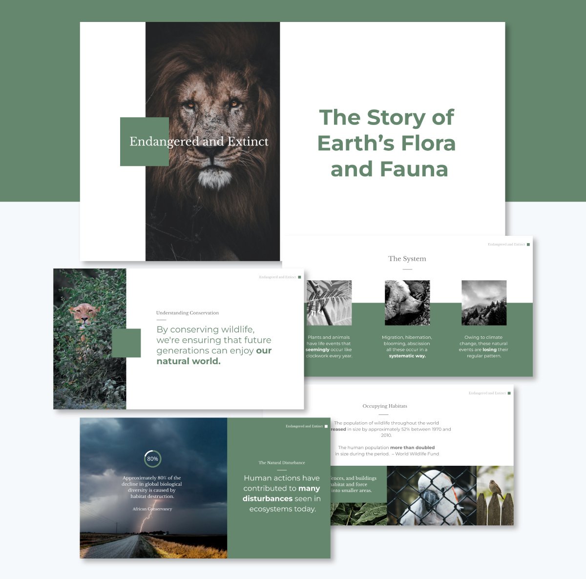 Wildlife Keynote Presentation Template