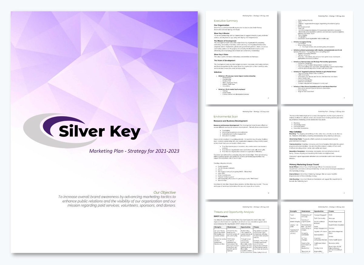 executive summary examples - Silver Key Marketing Plan & Strategy 