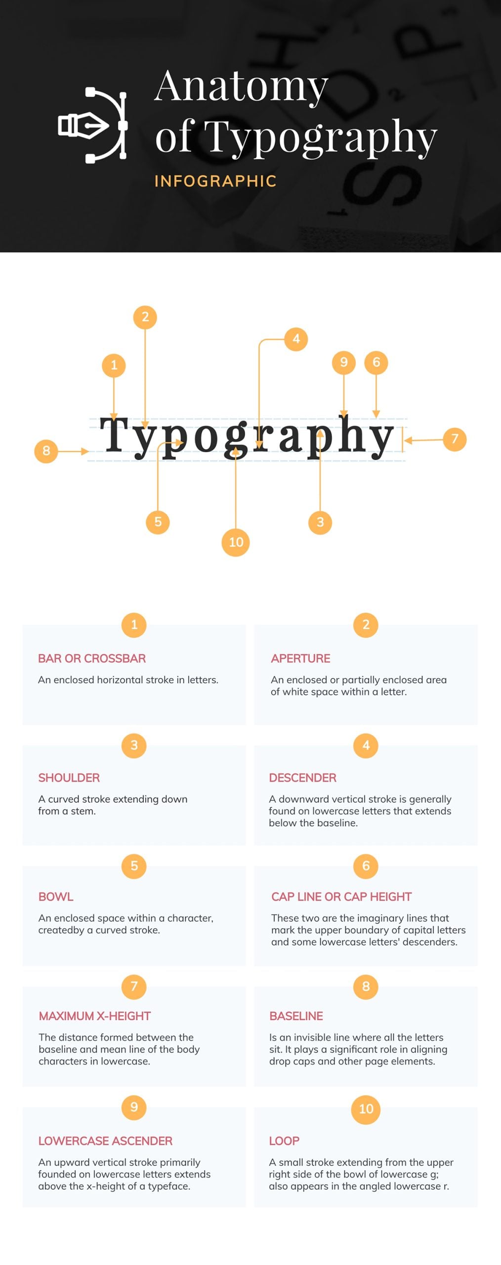 Anatomy of Typography Infographic