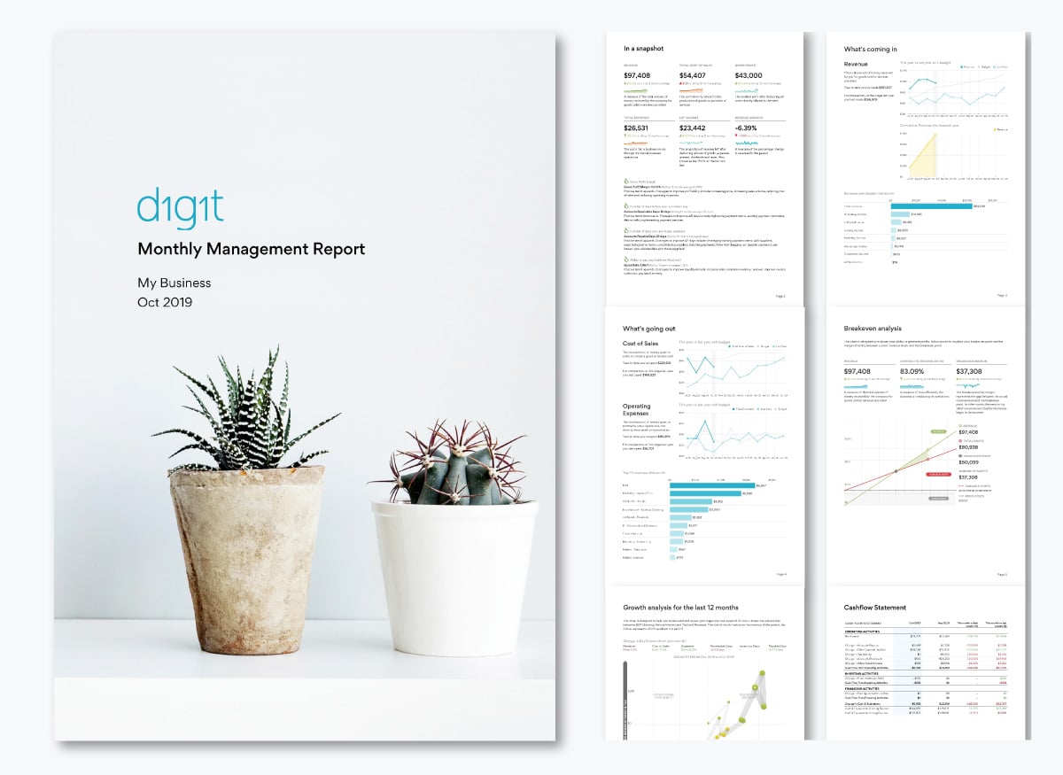 Monthly Management Report Templates & Examples - Digit Business Monthly Management Report