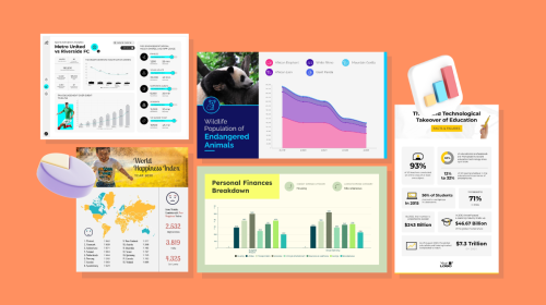 Demographics Examples & Actionable Insights for Better Marketing