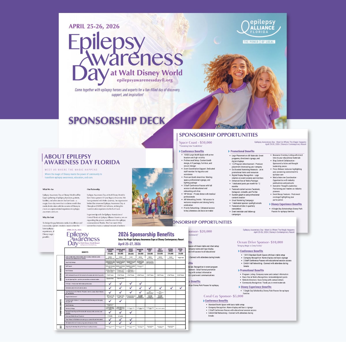 How to write an impressive sponsorship deck - Epilepsy awareness disney day sponsorship deck