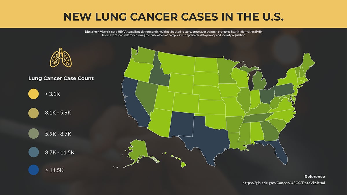 healthcare data visualization - lung cancer choropleth map