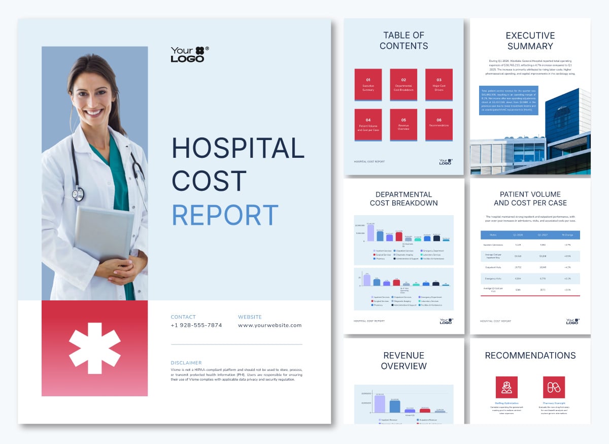 healthcare data visualization - hospital cost report template