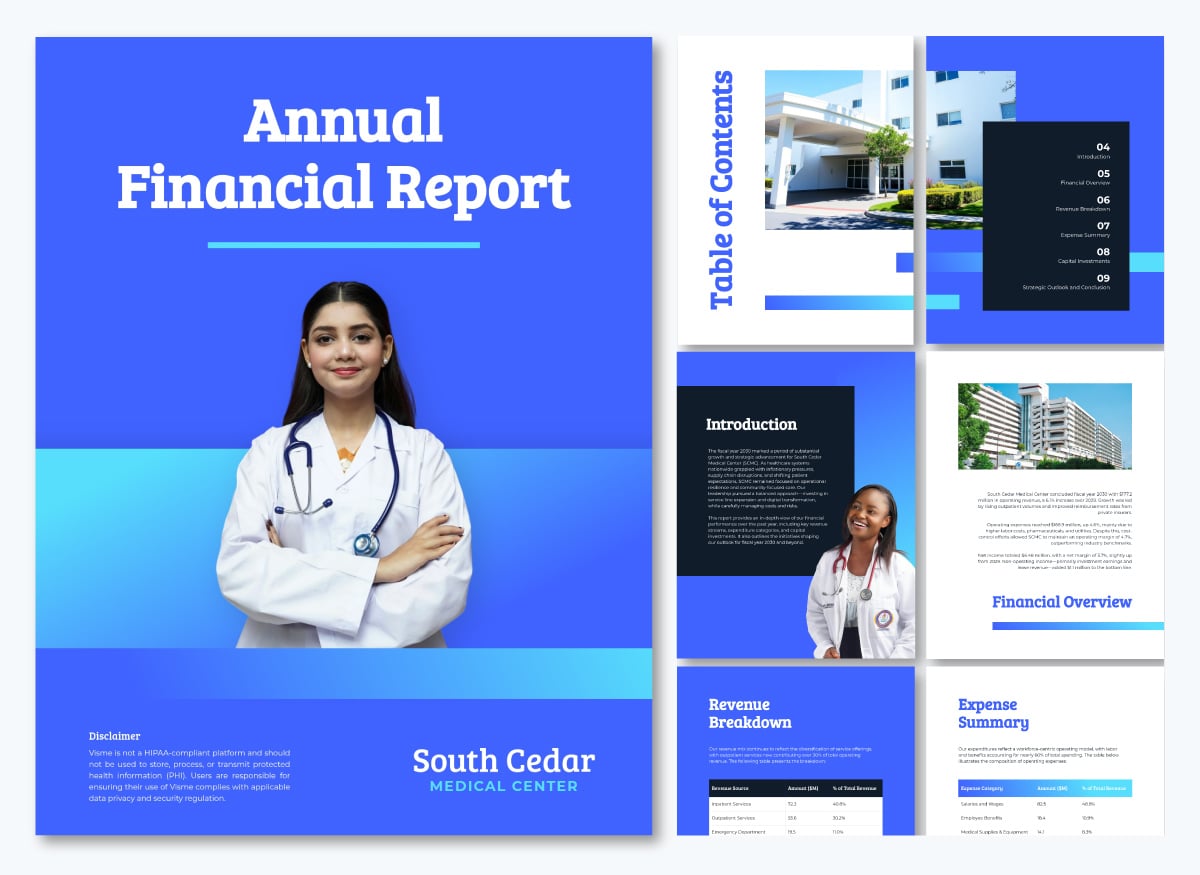 healthcare data visualization - hospital annual report template