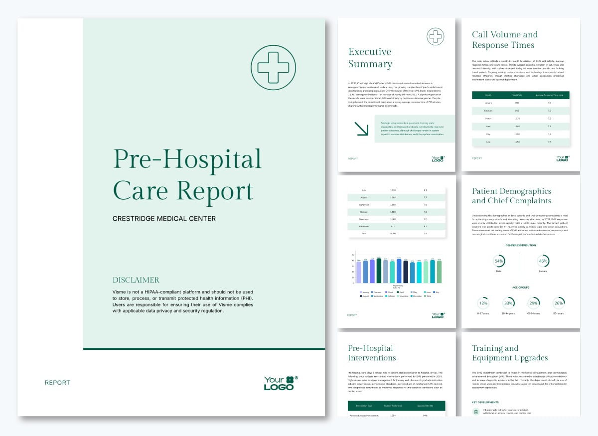 healthcare data visualization -pre hospital care report template
