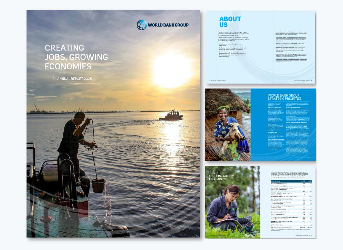 15 Annual Report Design Templates & examples 2026 - world bank group annual report 2025