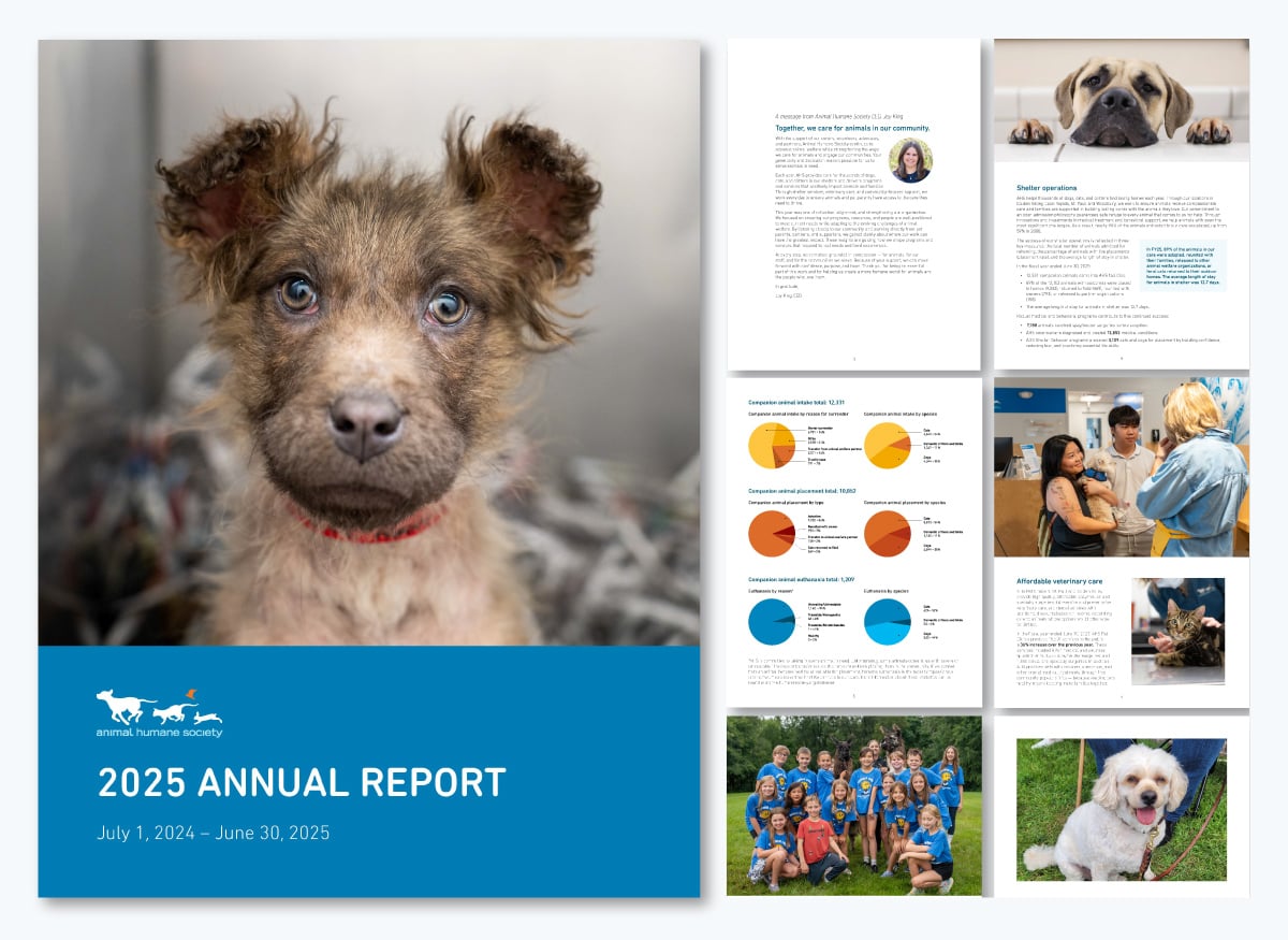 15 Annual Report Design Templates & examples 2026 - animal humane society