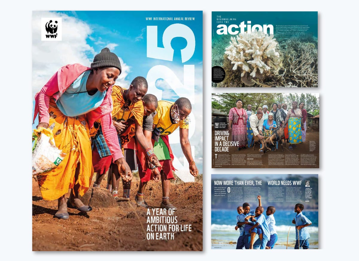 15 Annual Report Design Templates & examples 2026 - world wildlife foundation