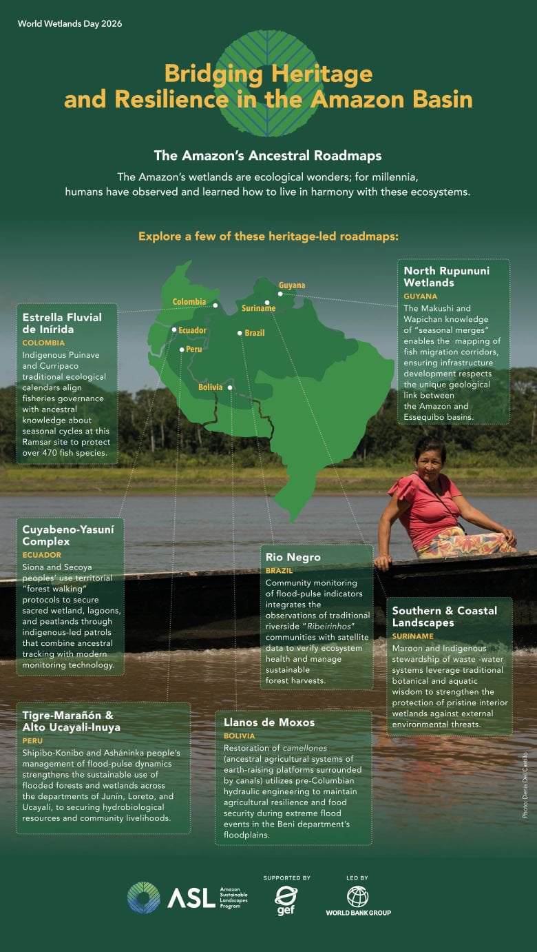 12 Infographic Best Practices for Creating Jaw-Dropping Infographics - bridging heritage and resilience in the amazon basin