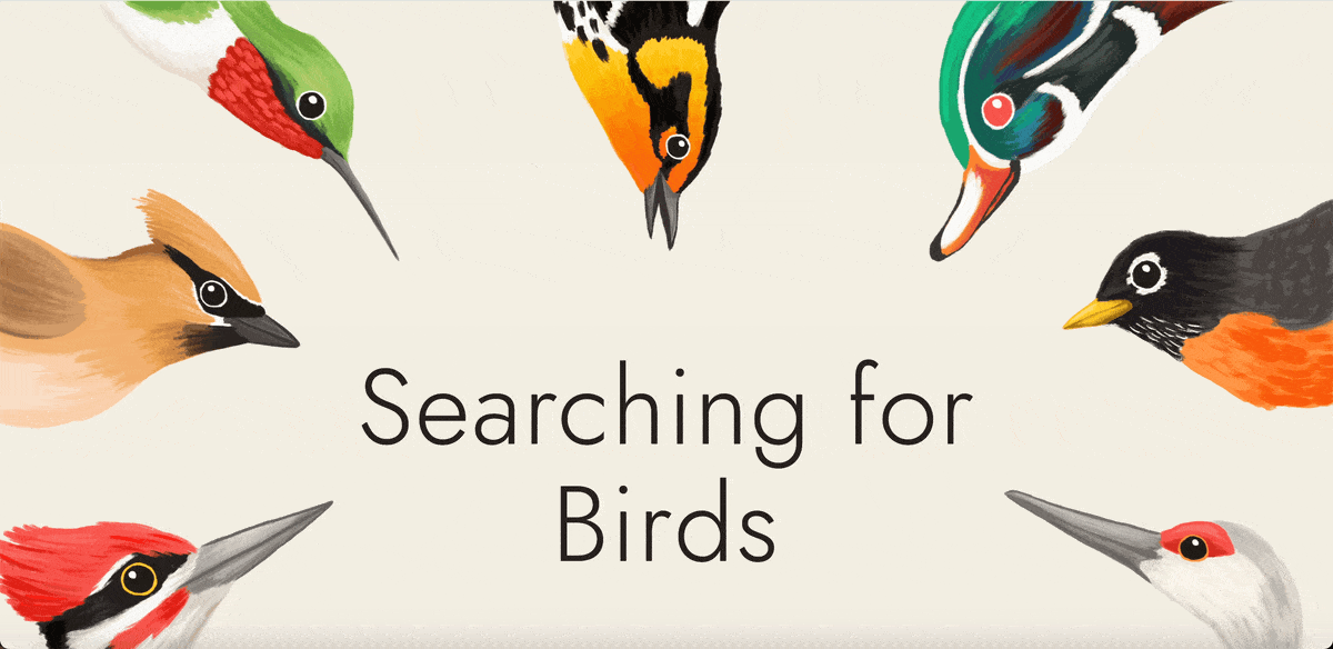 12 Infographic Best Practices for Creating Jaw-Dropping Infographics - searching for birds